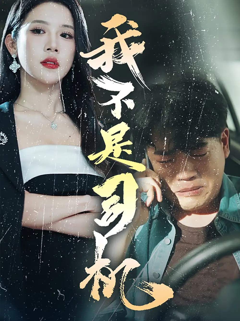 我不是司机(61集)林绮婷