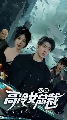 闪婚高冷女总裁（100集）
