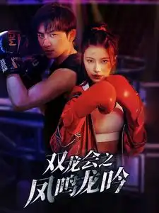 双龙会之凤鸣龙吟(80集)