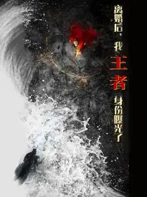 离婚后我王者身份曝光了（80集）