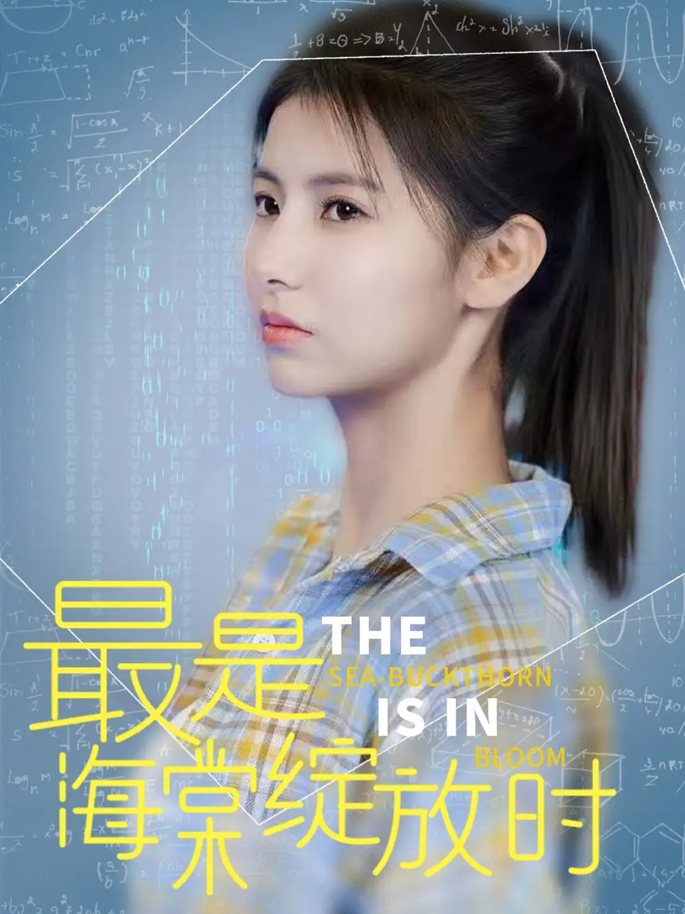 最是海棠绽放时（33集）