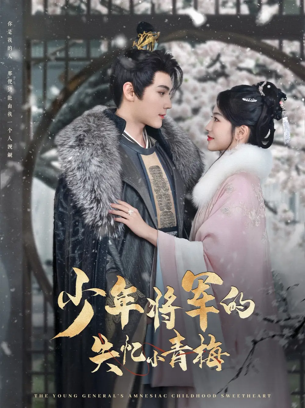 少年将军的失忆小青梅（100集）