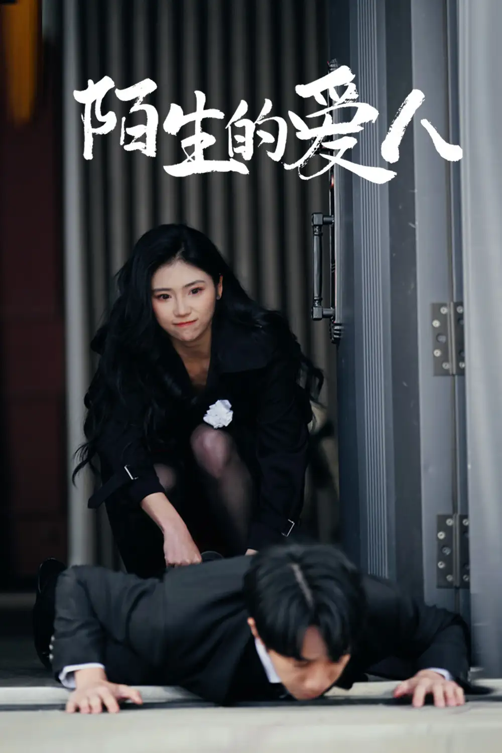 陌生的爱人（60集）