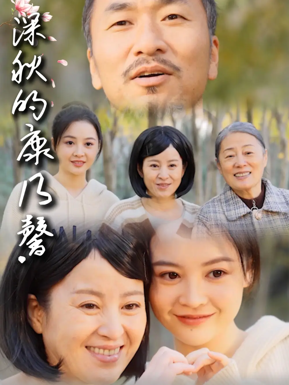 深秋的康乃馨（90集）