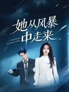 她从风暴中走来（60集）