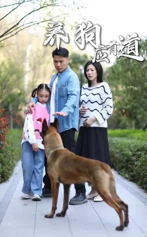 养狗应有道（60集）