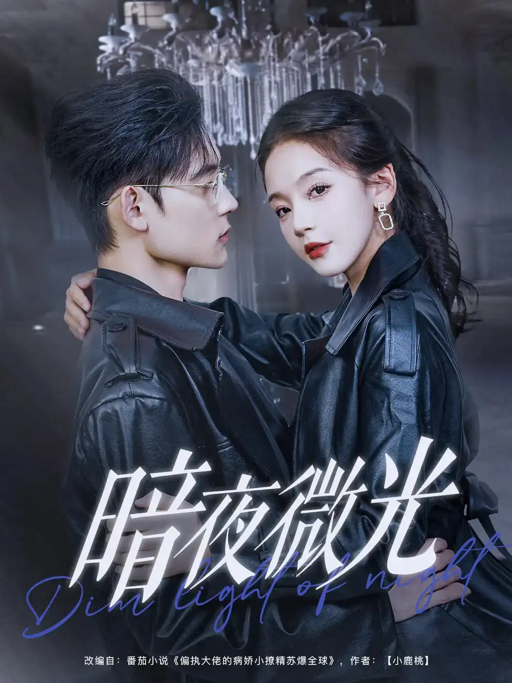 暗夜微光（86集）