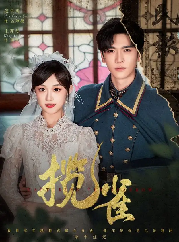 揽雀（61集）侯呈玥