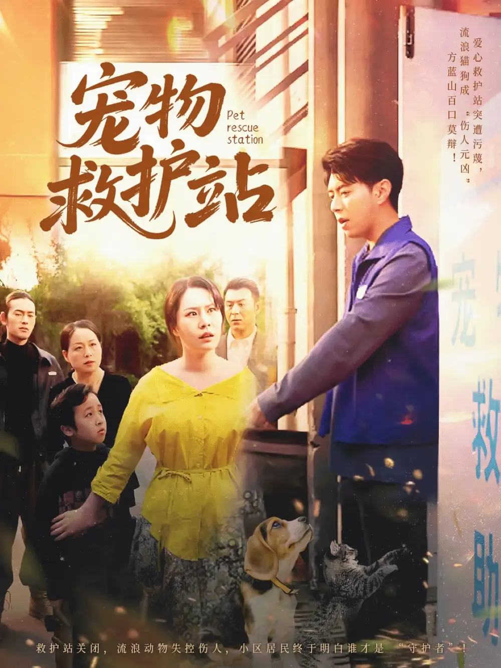 《宠物救护站（30集）魏晓慧&尹竹》短剧全集免费在线看