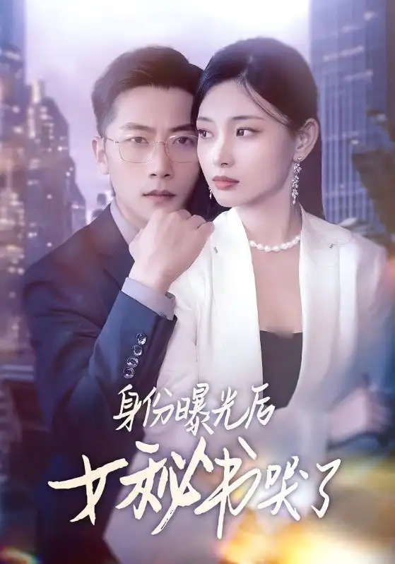 《身份曝光后女秘书哭了（31集）刘雪君&张家川》短剧全集免费在线看