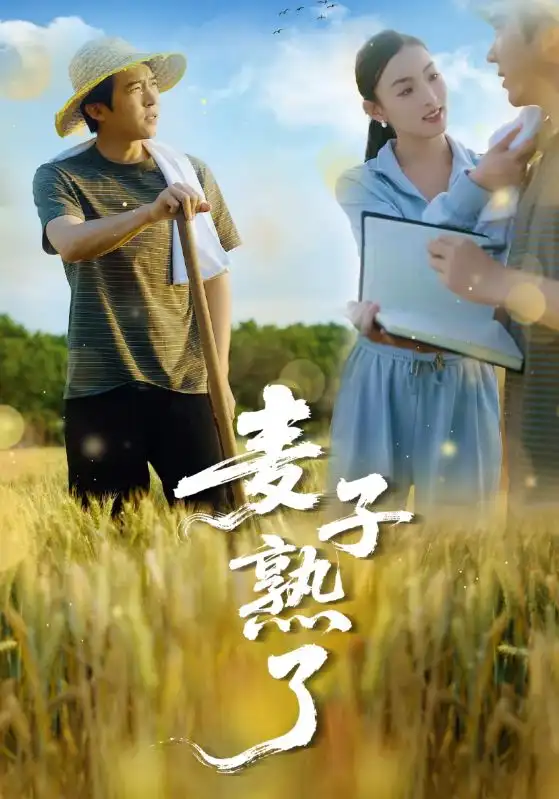 麦子熟了（52集