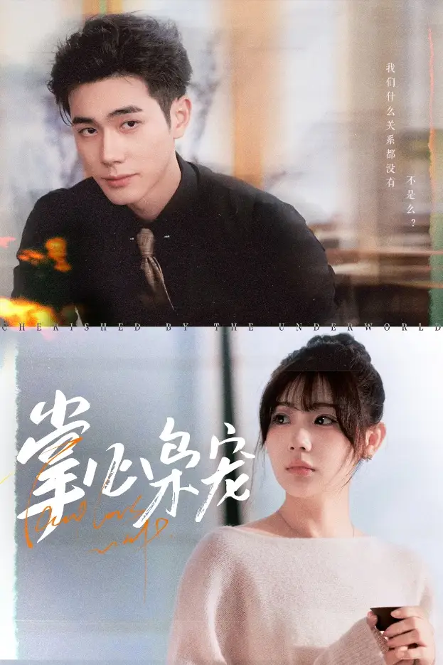 《掌心枭宠（100集）》短剧全集免费在线看