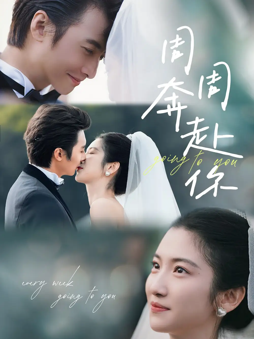 《周周奔赴你（80集）付妤妤》短剧全集免费在线看
