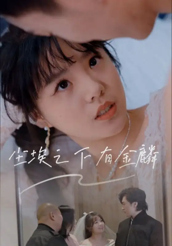 《尘埃之下有金鳞（60集）》短剧全集免费在线看