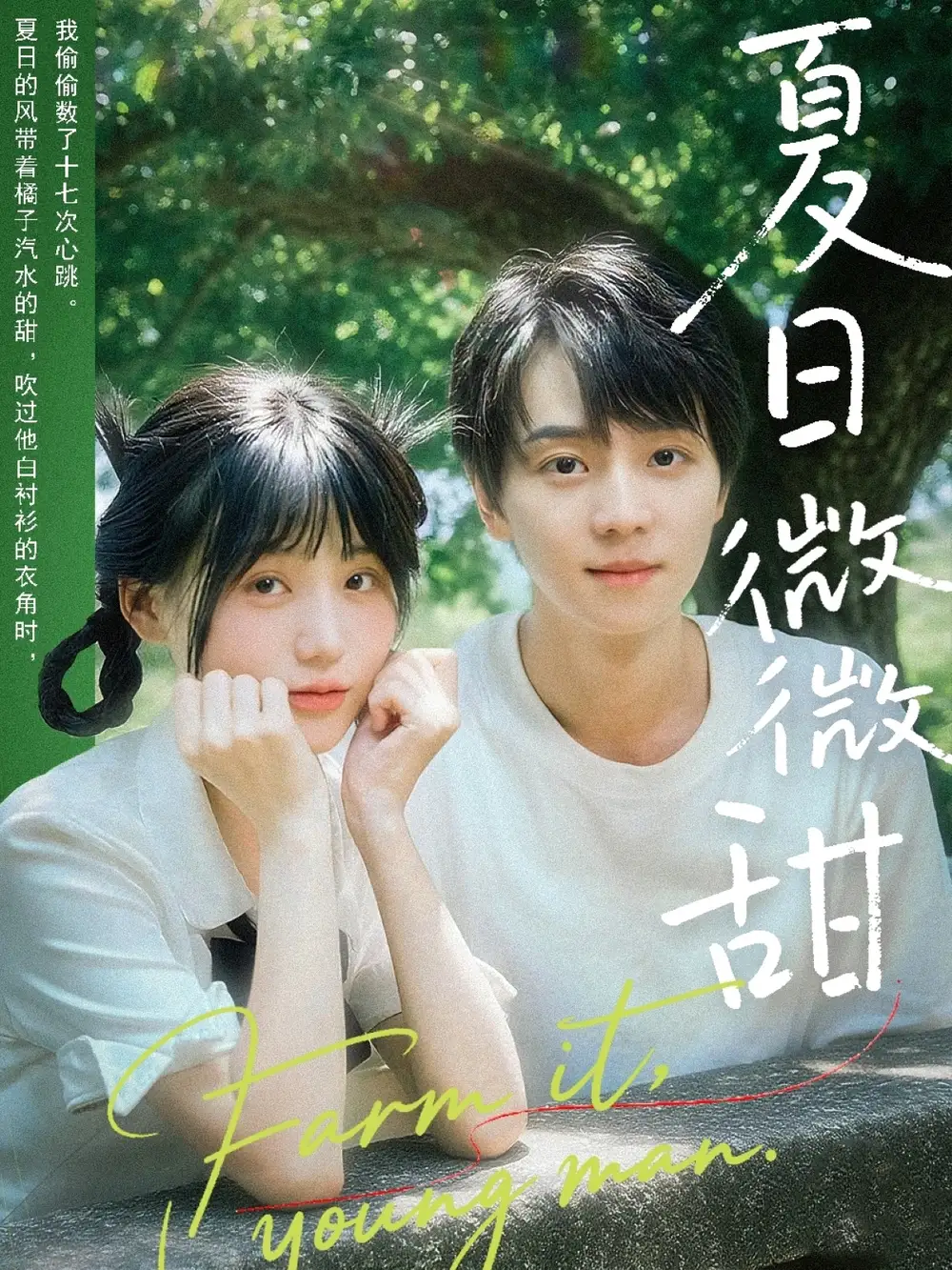 《夏日微微甜（79集）苏泽林＆宋澎澎》短剧全集免费在线看