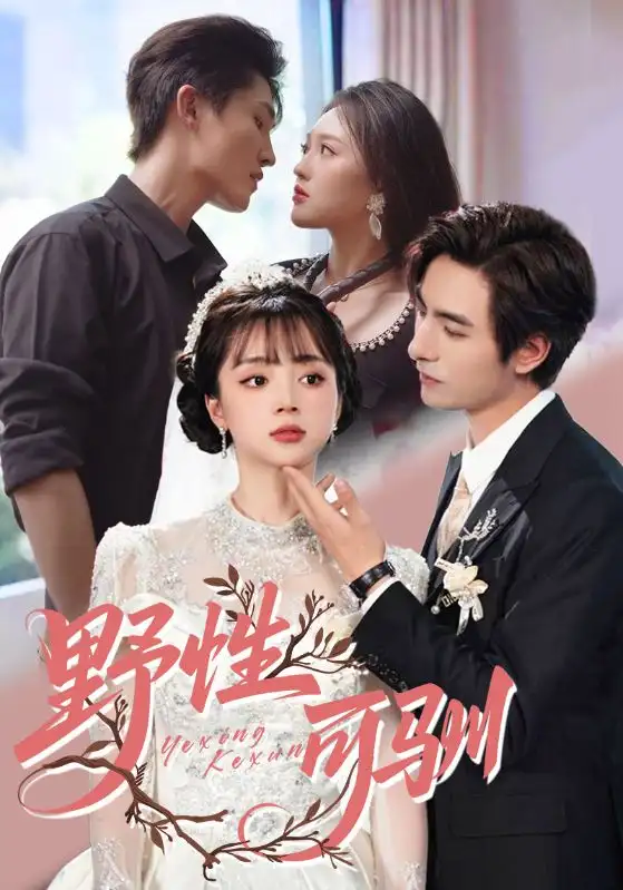 《野性可驯（63集）李豪&蔡淼燕》短剧全集免费在线看