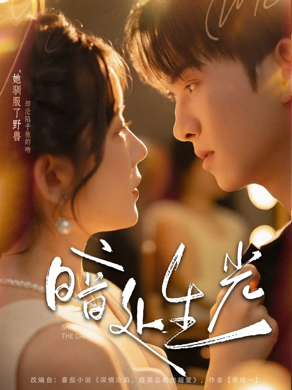 《暗处生光（82集）莫书铭＆冯易鑫》短剧全集免费在线看