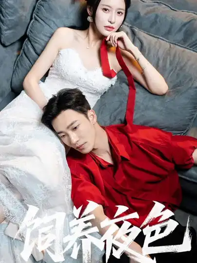 《饲养夜色（86集）姚冠宇＆陈思澈》短剧全集免费在线看