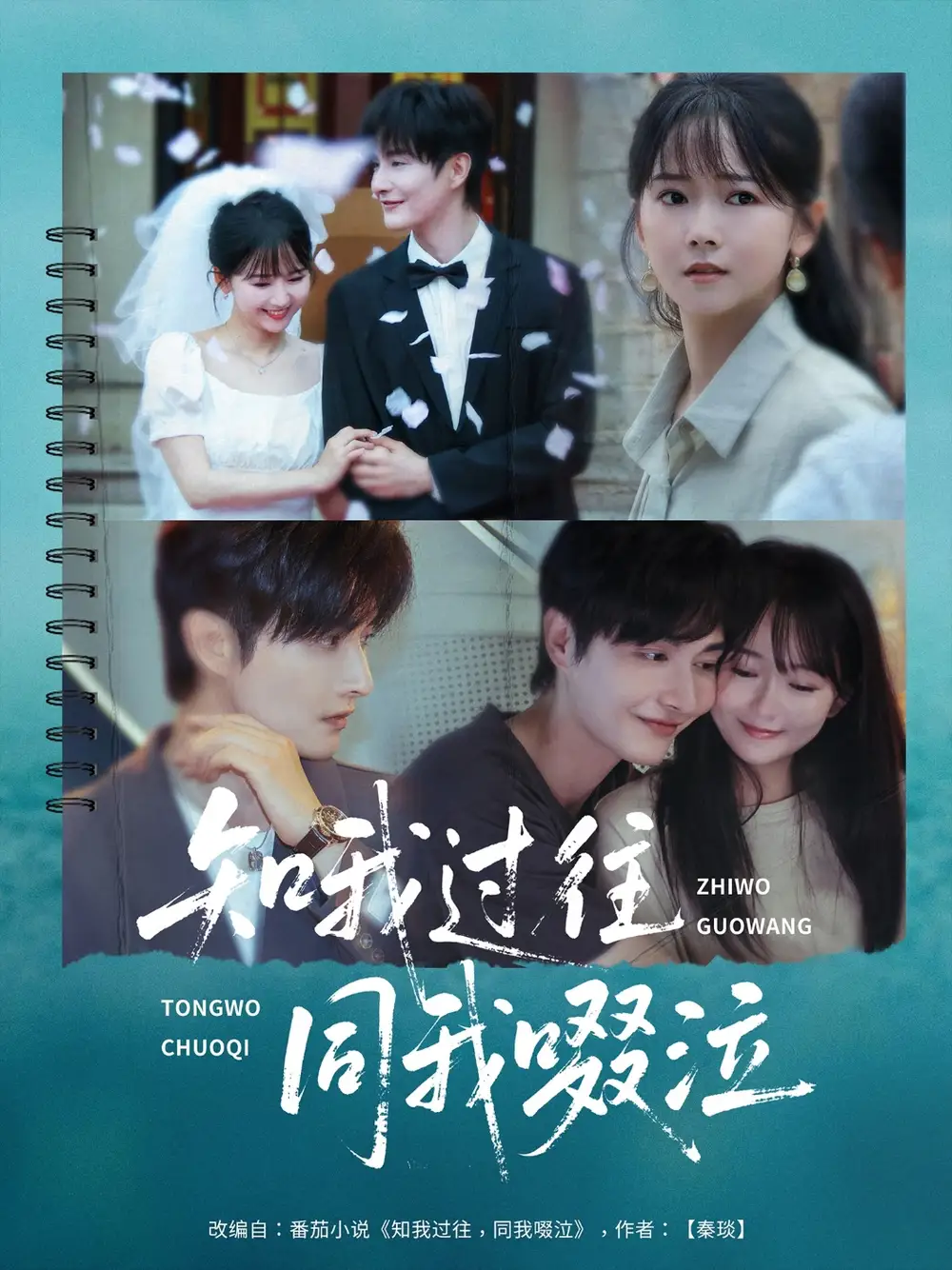 《知我过往同我啜泣（60集）王雅淇》短剧全集免费在线看