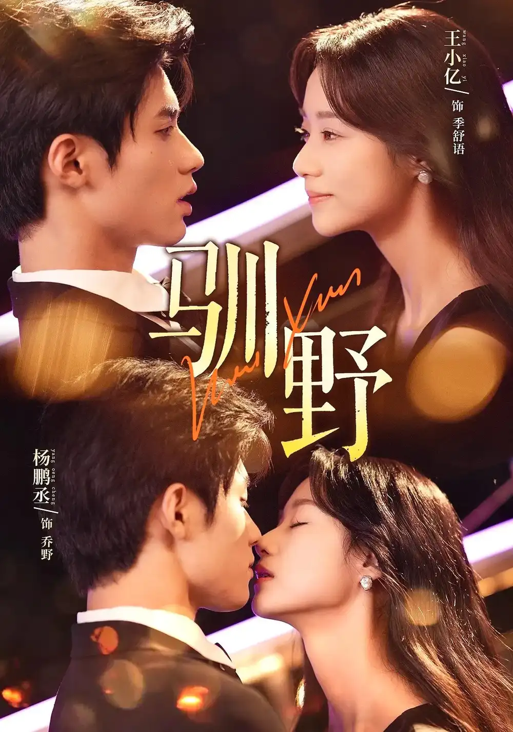 《驯野（77集）》短剧全集免费在线看