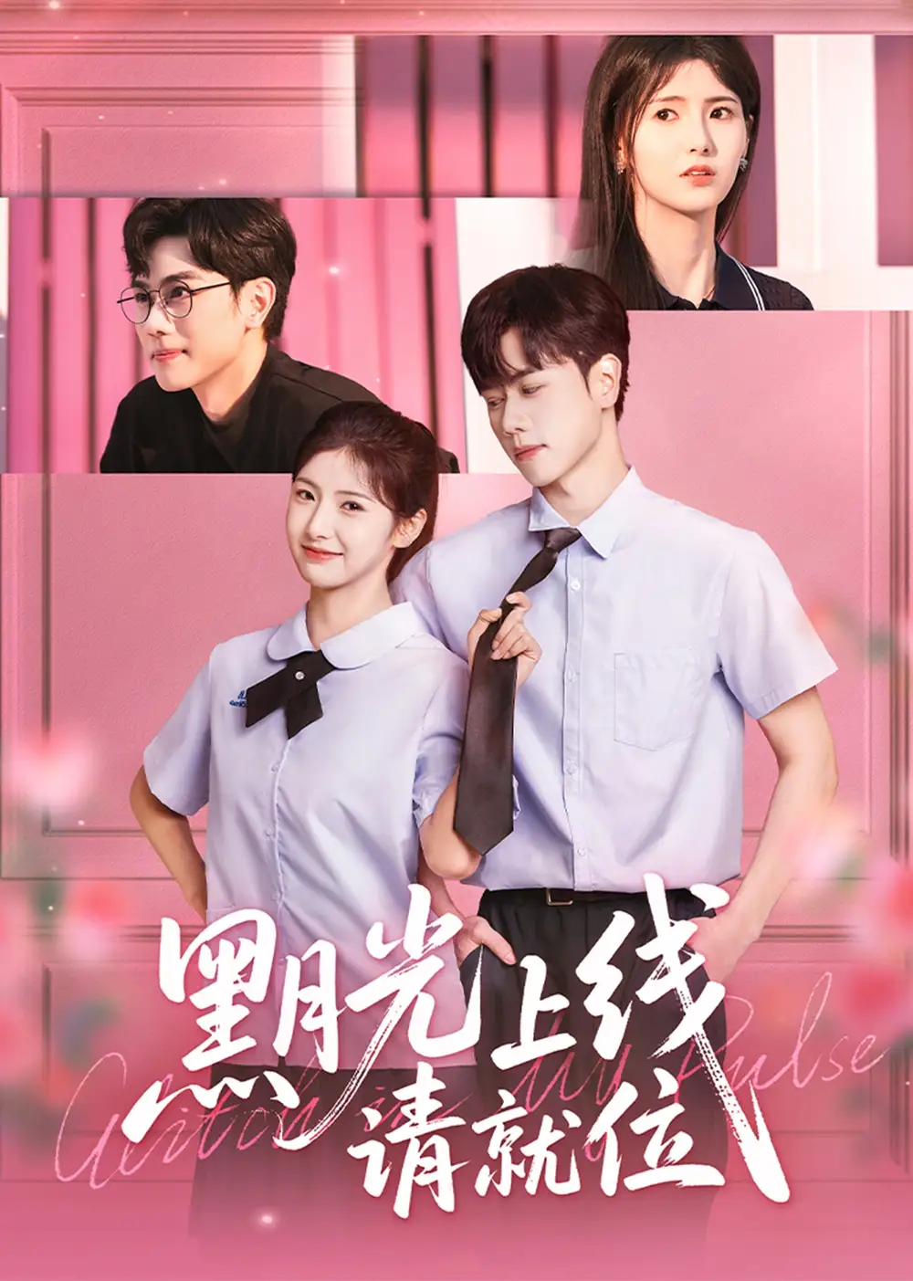 《黑月光上线请就位（60集）》短剧全集免费在线看