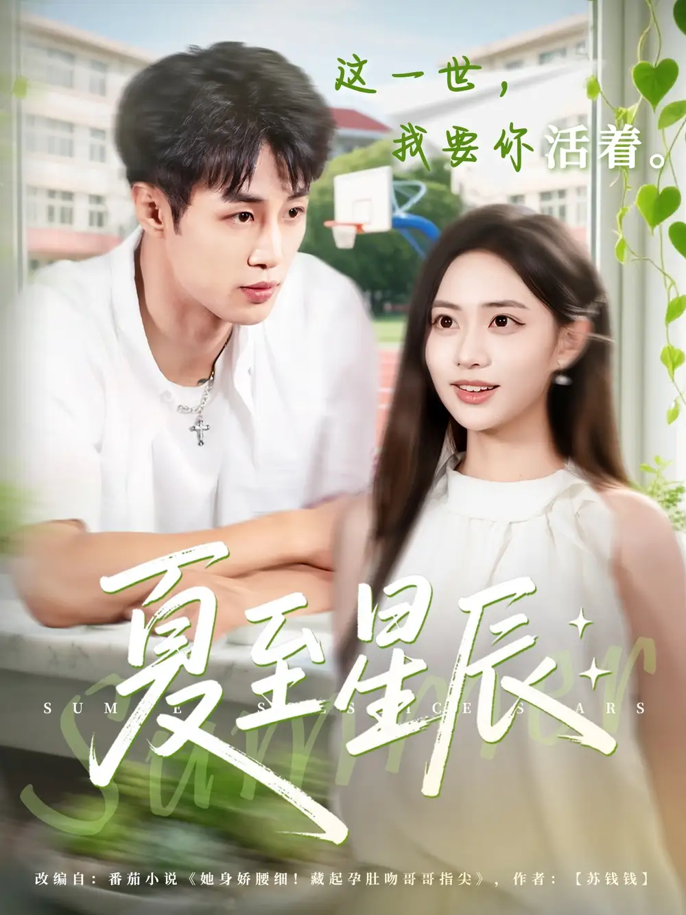 《夏至星辰（54集）》短剧全集免费在线看