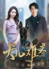 《犬儿难养（38集）》短剧全集免费在线看