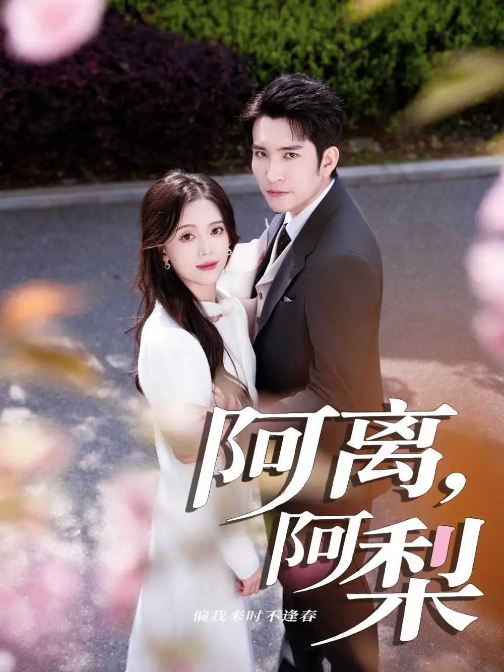 《阿离阿梨（60集）》短剧全集免费在线看