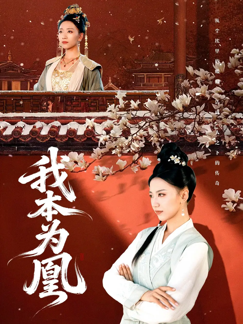 《.我本为凰（82集）》短剧全集免费在线看