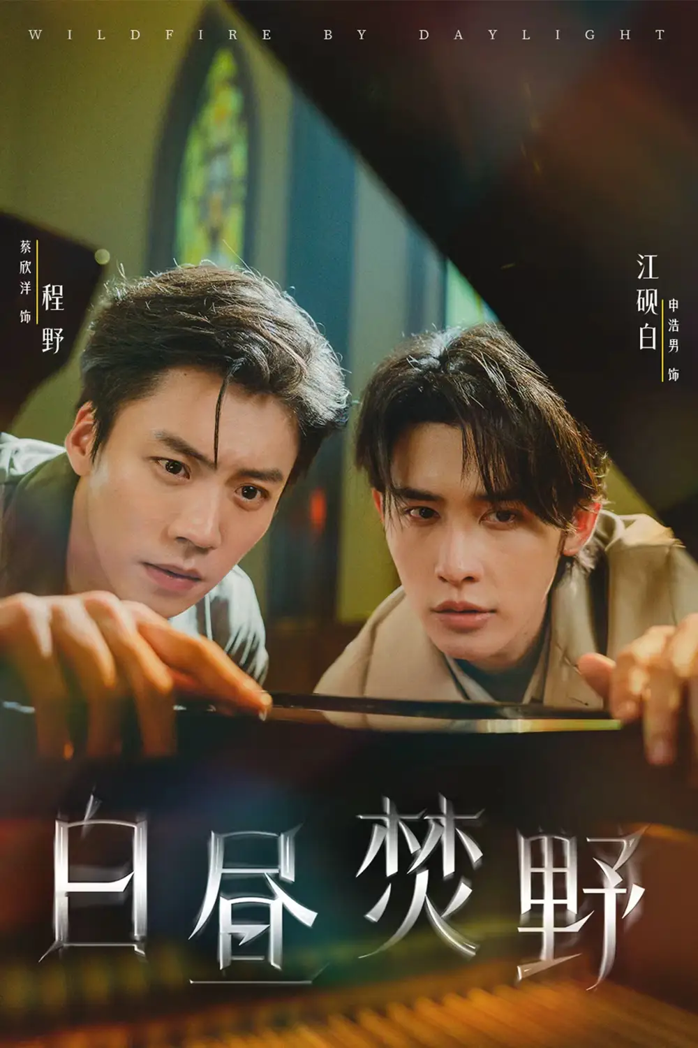 《白昼焚野（70集）》短剧全集免费在线看