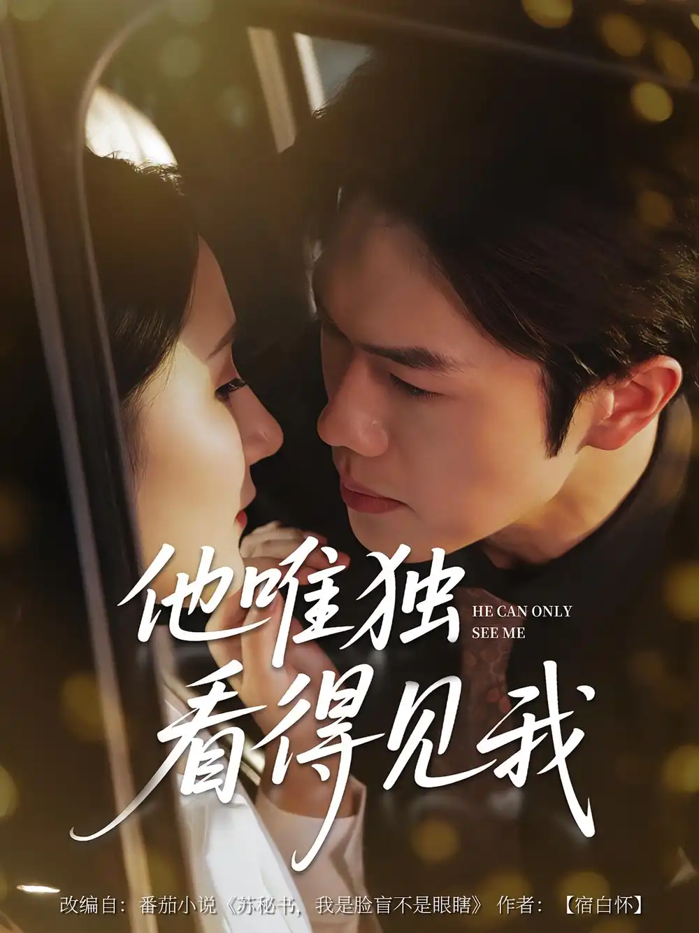 《他唯独看见我（80集）》短剧全集免费在线看