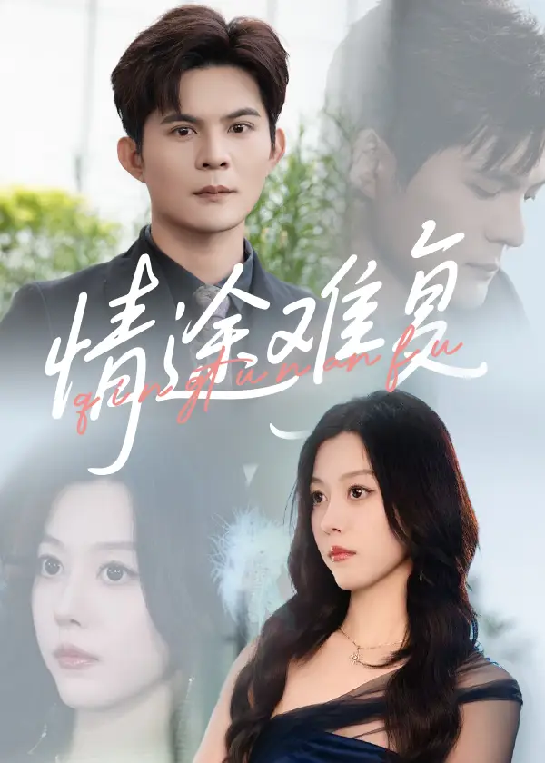 《情途难复（50集）》短剧全集免费在线看