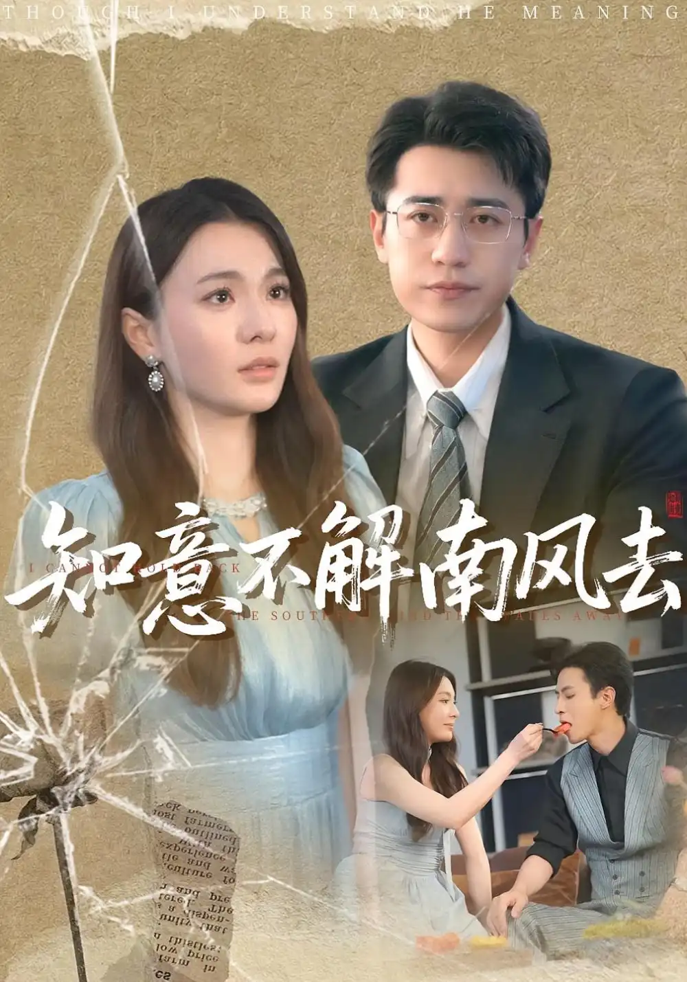 《知意不解南风去（90集）》短剧全集免费在线看