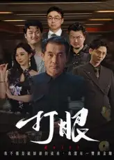 《打眼（48集）》短剧全集免费在线看