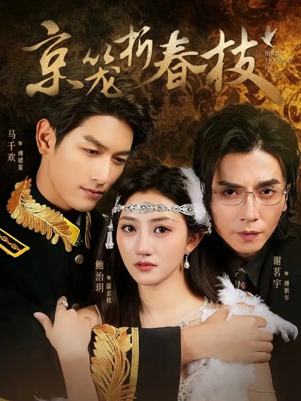 《京笼折春枝（79集）》短剧全集免费在线看