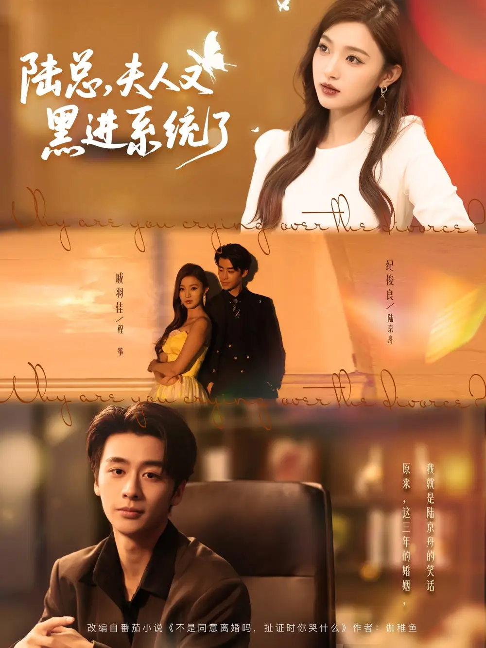 《陆总夫人又黑进系统了（81集）》短剧全集免费在线看