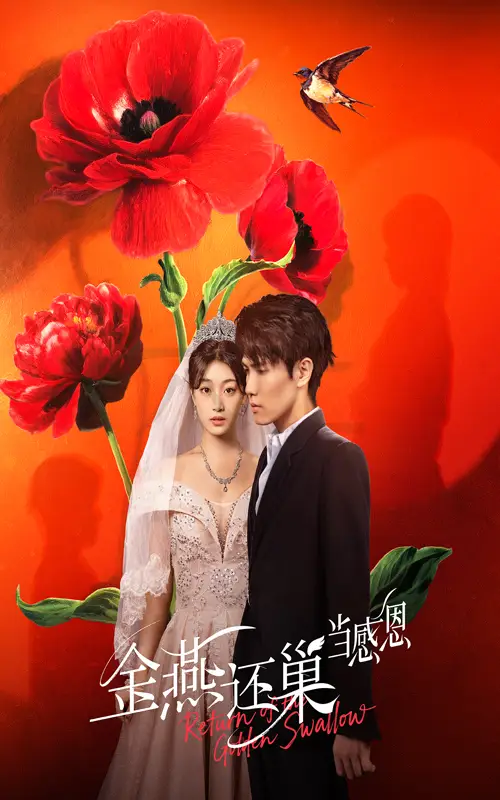 《金燕还巢当感恩（55集）》短剧全集免费在线看