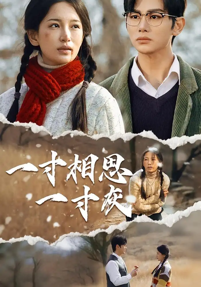 《一寸相思一寸灰（43集）》短剧全集免费在线看