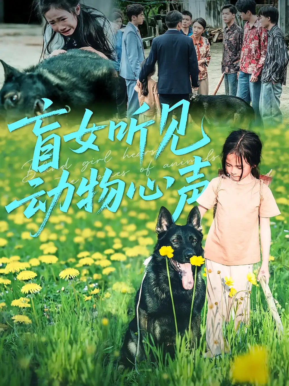 《盲女听见动物心声（61集）》短剧全集免费在线看