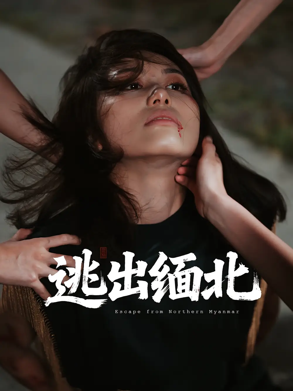 《逃出缅北（62集）刘振安&汪芷萱》短剧全集免费在线看