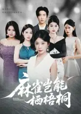 《麻雀岂能栖梧桐（31集）》短剧全集免费在线看