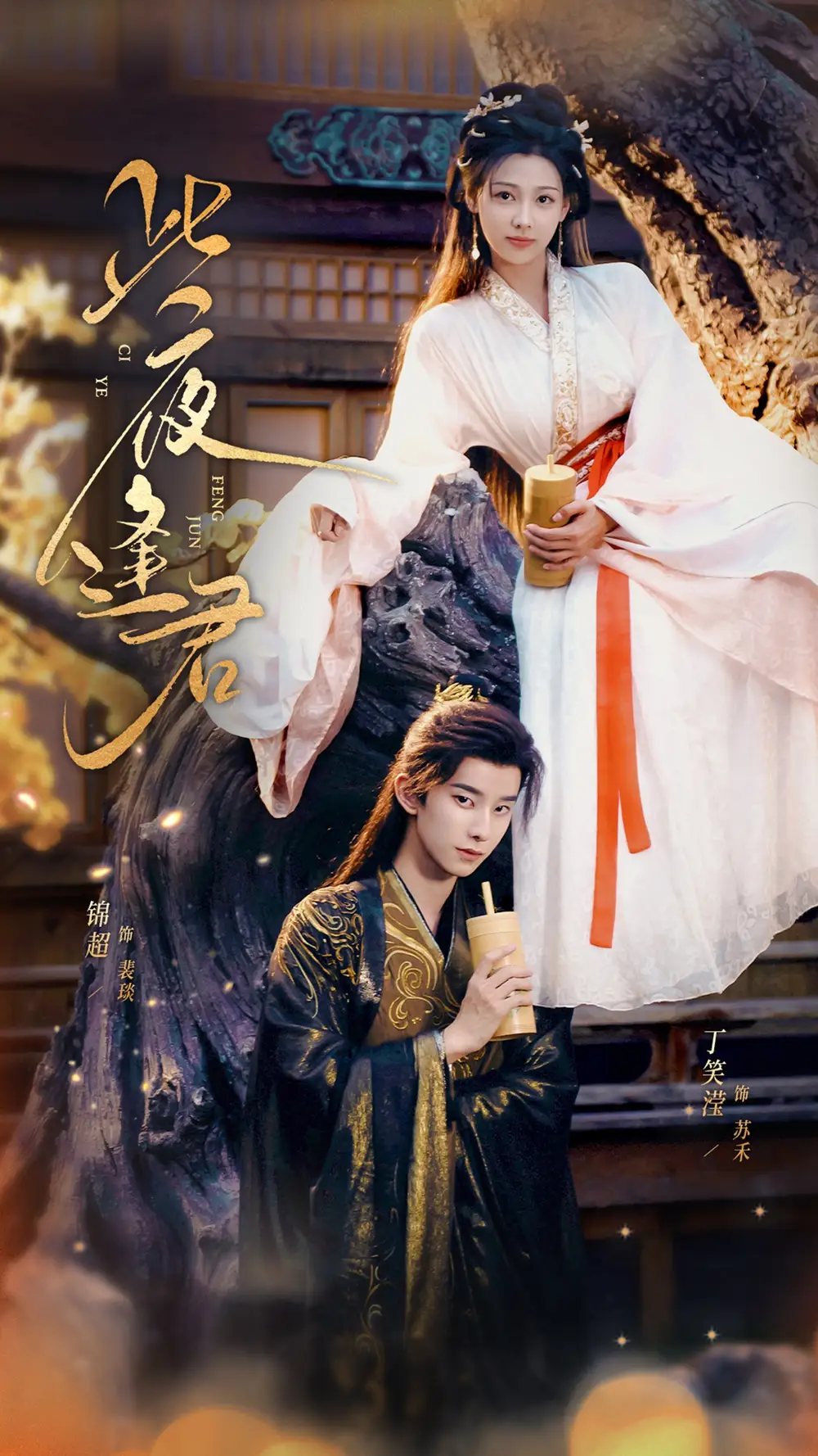 《此夜逢君（76集）》短剧全集免费在线看