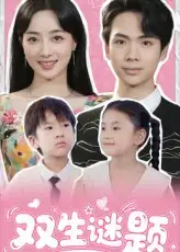 《双生谜题（36集）》短剧全集免费在线看