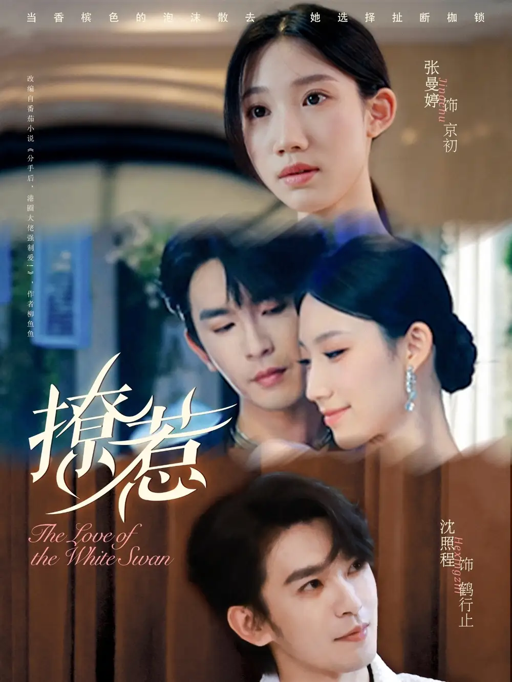 《撩惹（80集）》短剧全集免费在线看