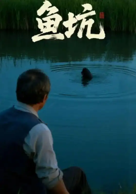 《鱼坑（30集）付晓月&韩世袆》短剧全集免费在线看