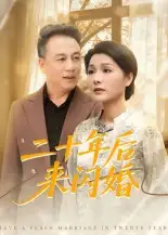 《二十年后来闪婚（60集）》短剧全集免费在线看