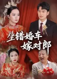 《坐错婚车嫁对郎(32集)钟俞&马皓》短剧全集免费在线看