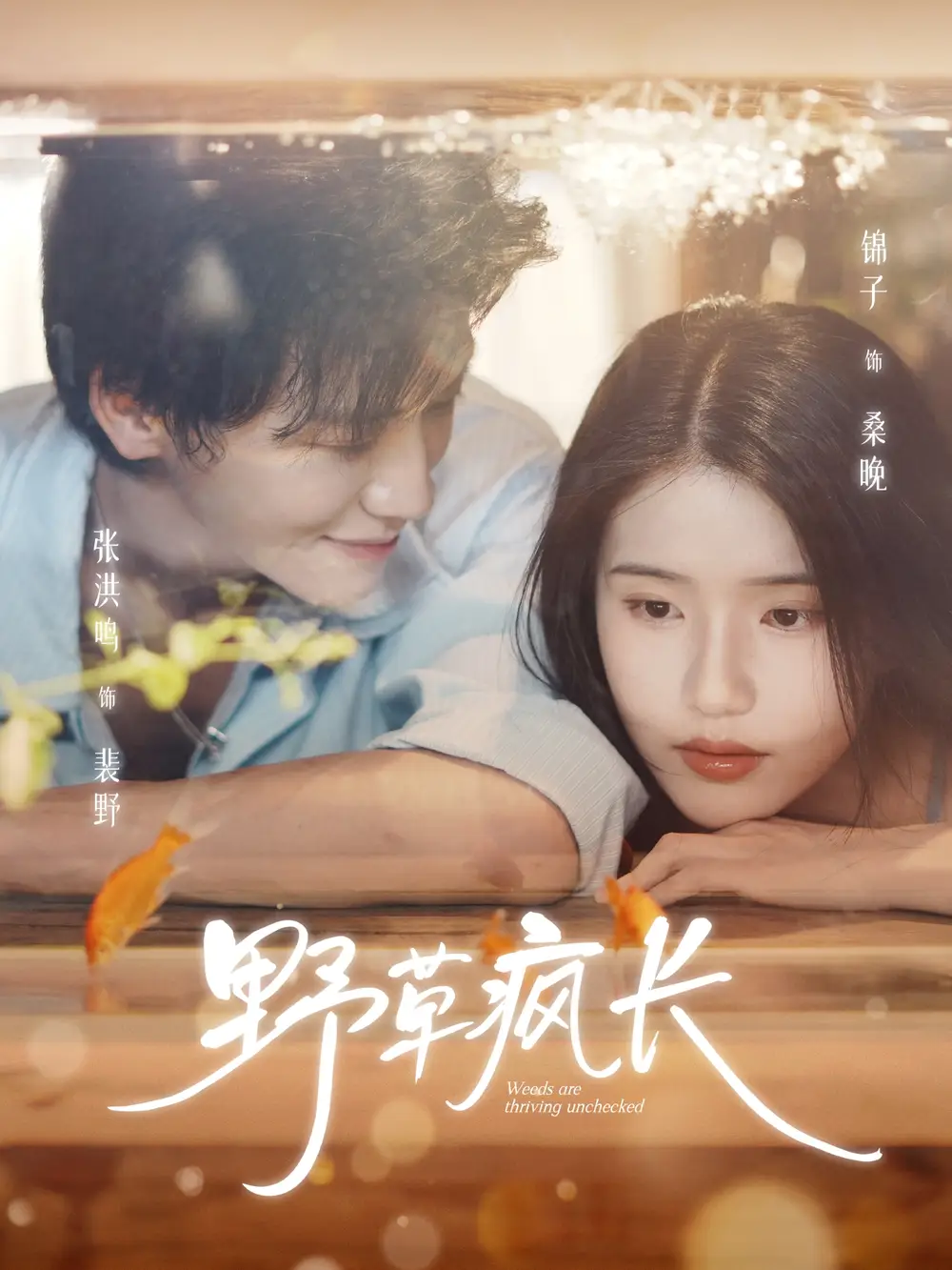 《野草疯长(71集)张洪鸣&锦子》短剧全集免费在线看