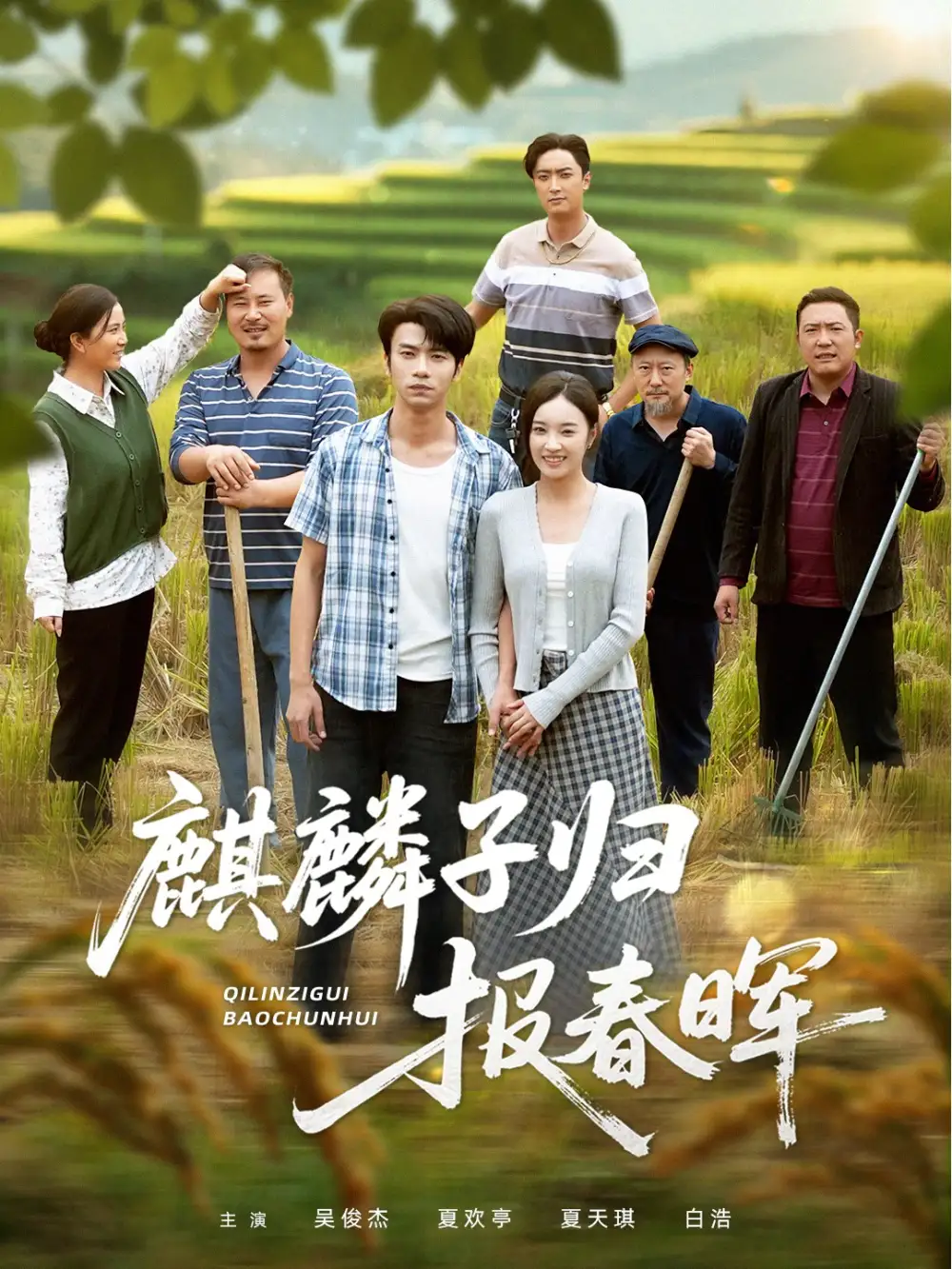 《.麒麟子归报春晖(36集)》短剧全集免费在线看