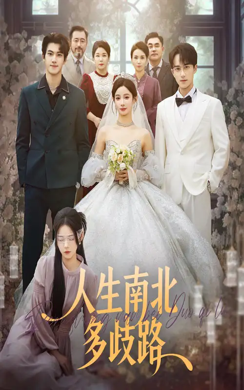 《人生南北多歧路(45集)谭心&辛灏云》短剧全集免费在线看